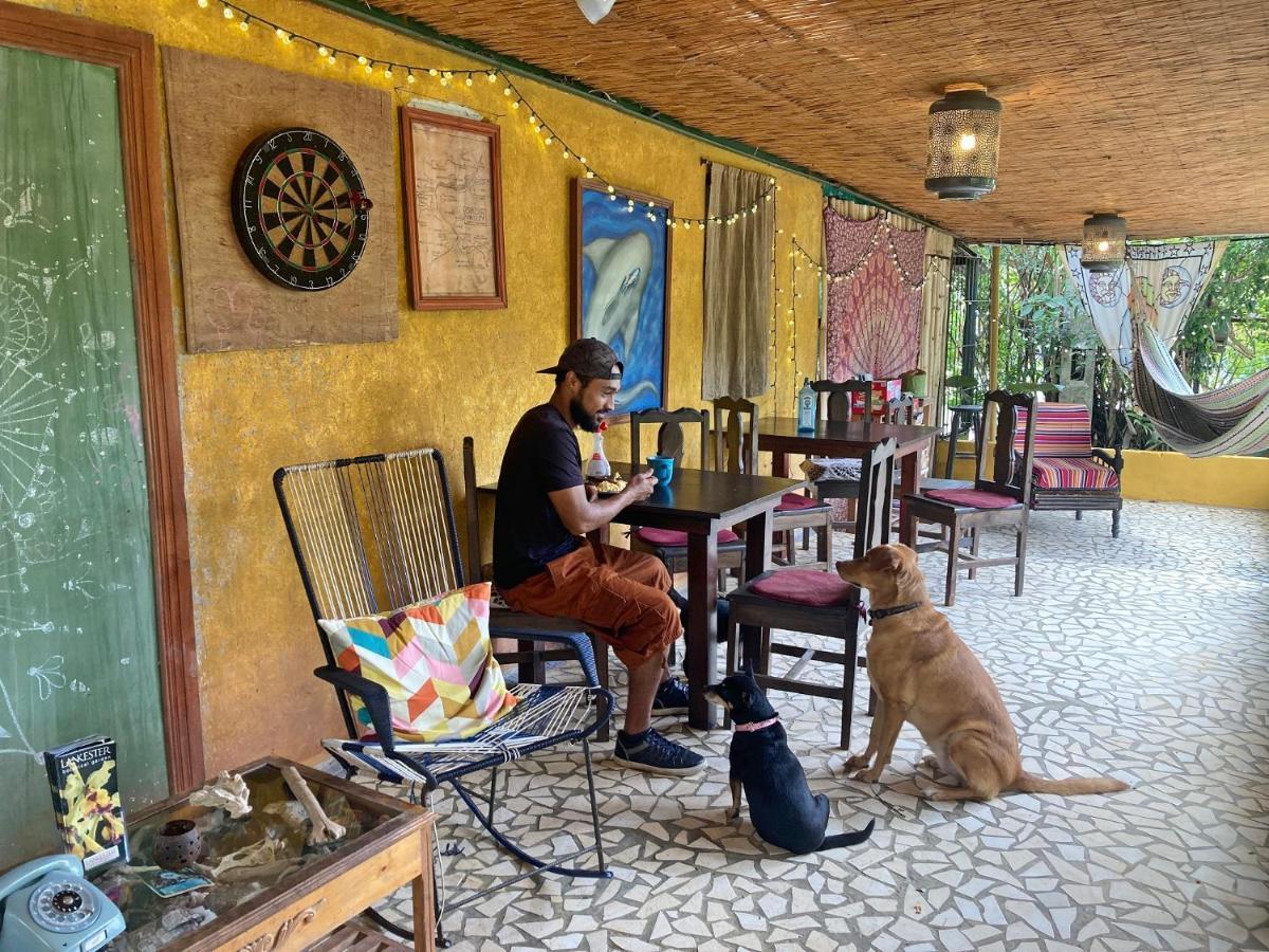 Montana Linda Hostel Orosí Εξωτερικό φωτογραφία